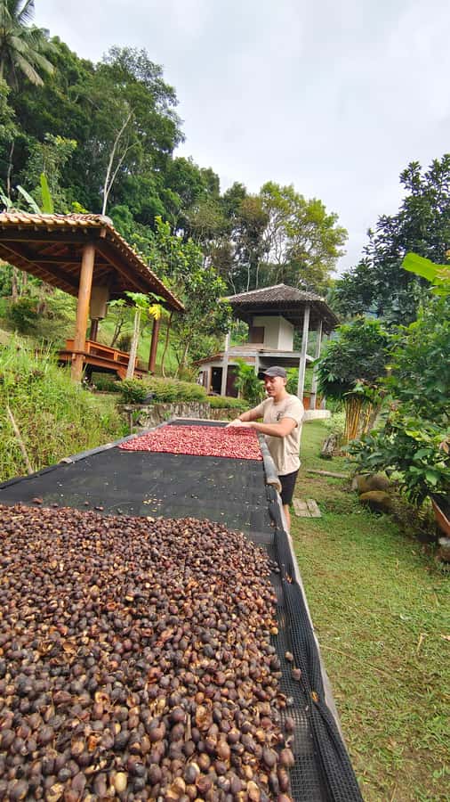 Selogriyo Temple, treking Java Rice Terrace & waterfall - The one-and-a-half-hour trip to Kedung Kayang