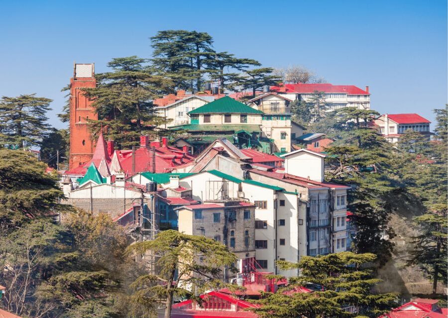 Shimla Nature Walk (3 Hours Guided Trekking Experience) - Should you book the Shimla Nature Walk?