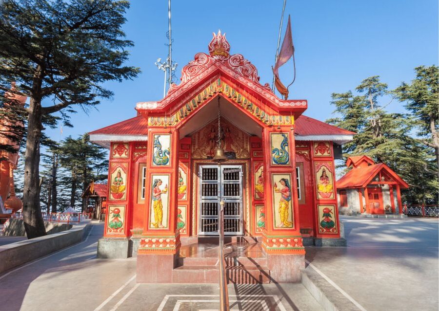 Shimla Nature Walk (3 Hours Guided Trekking Experience) - The downhill walk, Maggi, and a hot cup of tea