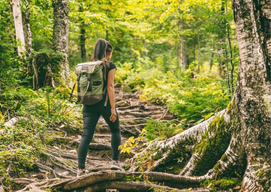 Shimla Nature Walk (3 Hours Guided Trekking Experience) - Ending at the Ridge