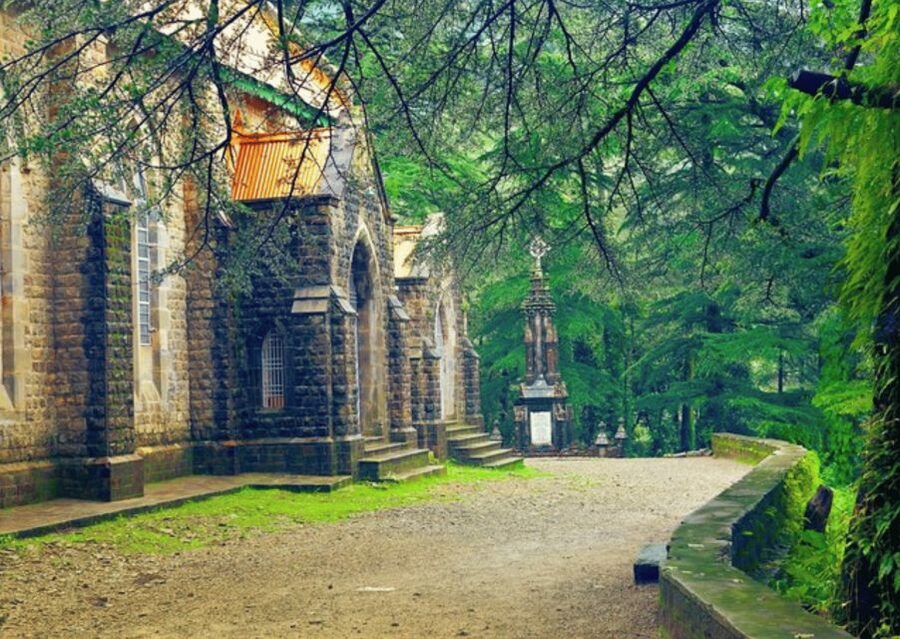Shimla Nature Walk (3 Hours Guided Trekking Experience) - Price, guide quality, and what you receive