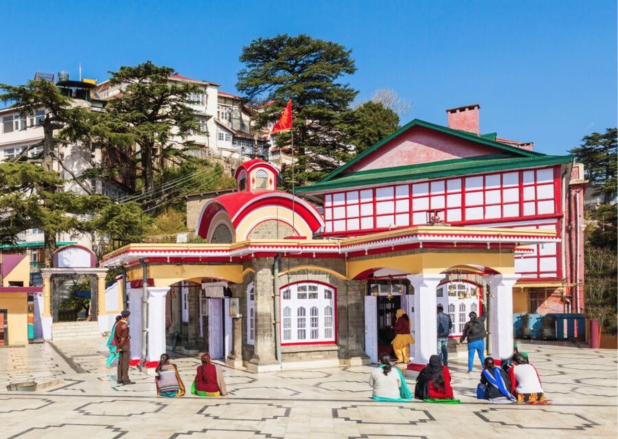 Shimla Nature Walk (3 Hours Guided Trekking Experience) - Who should book this walk