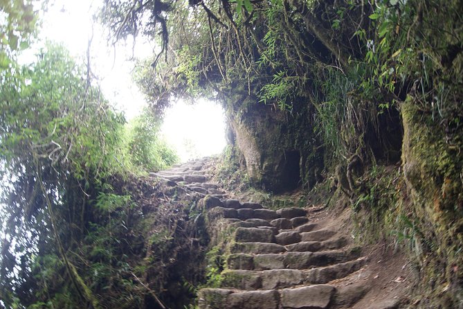 Short Inca trail to MachuPicchu || 2days - 1nigth || - Machu Picchu before the crowds build
