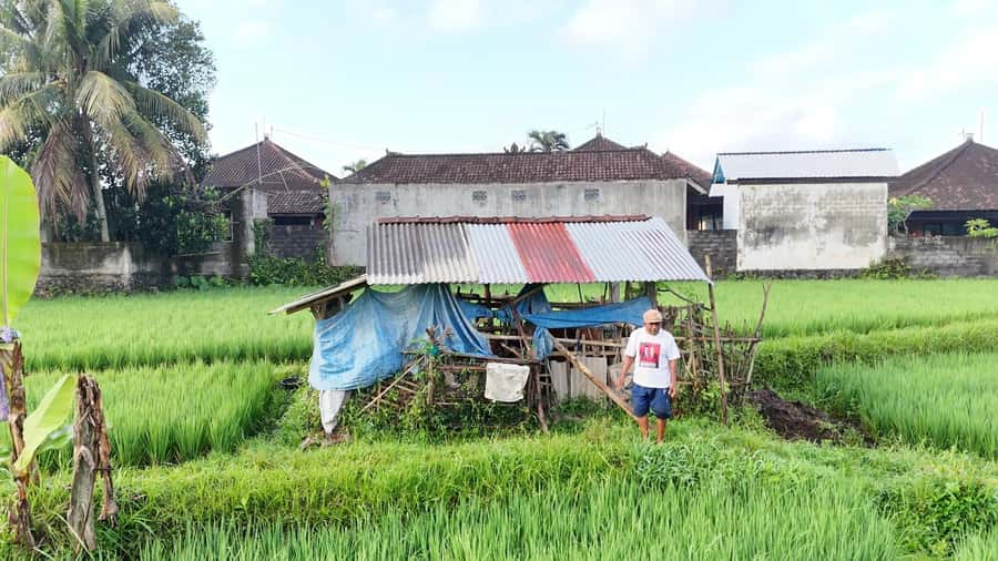 Sidemen rice terraces trek and local village walk - Key points to know before you book