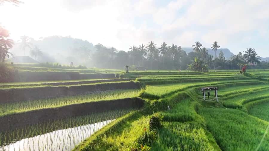 Sidemen rice terraces trek and local village walk - Through rice paddies and irrigation channels
