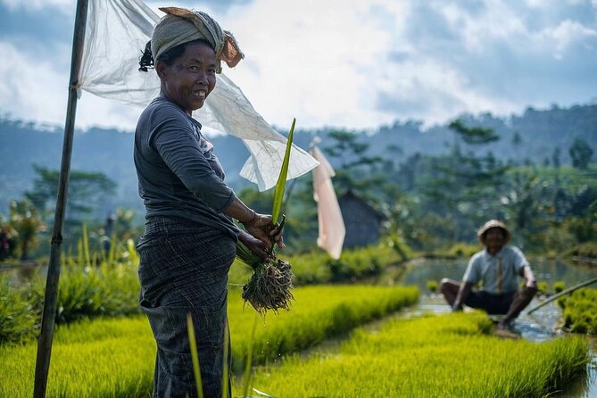 Sidemen Trekking: A Walk from a Different Perspective - From village streets to open rice terraces