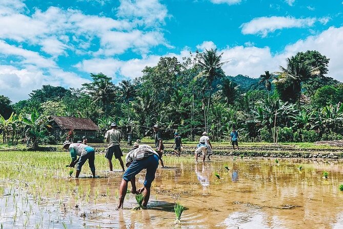 Sidemen Trekking: A Walk from a Different Perspective - Following the irrigation channels