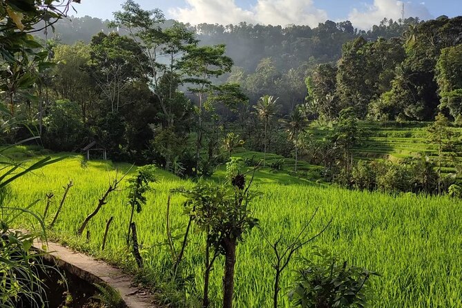 Sidemen Trekking: A Walk from a Different Perspective - Crossing the hanging wooden bridge