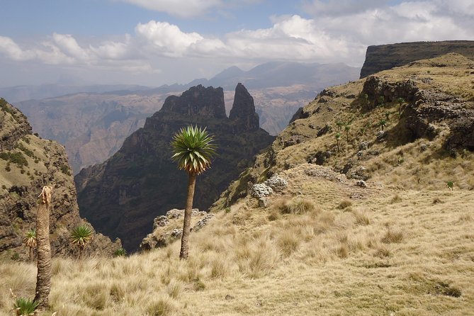 Simien Mountains National Park – 7 Day Trek - Day 4: Buwhit Pass at 4,200 meters