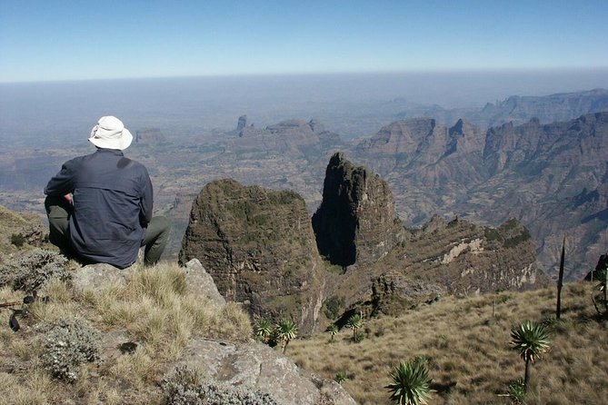 Simien Mountains Trekking Adventure - Giant lobelia and the 3,926-meter view at Imet Gogo