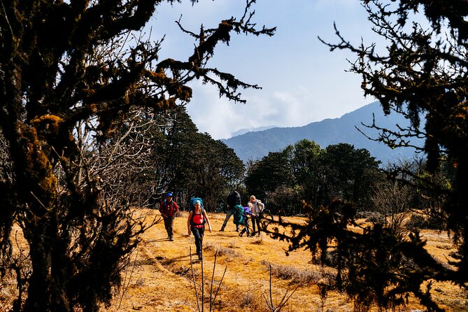 Singalila Ridge Trek from Darjeeling - 6 Days - What the $460 price covers