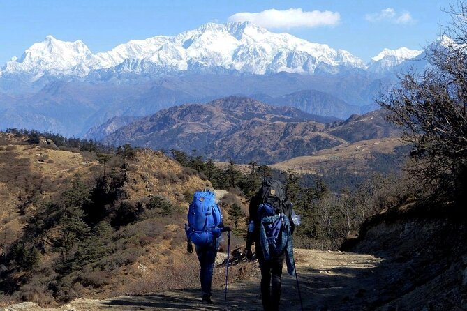 Singalila Trek from Darjeeling - Why the Singalila Ridge Is Worth Your Time