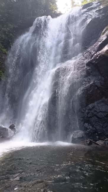 Sinharaja Rainforest: Tour with 5 Waterfalls Trek - From the south coast to Sinharaja’s waterfalls