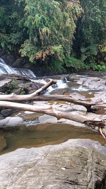 Sinharaja Rainforest: Tour with 5 Waterfalls Trek - Duli Ella is the first waterfall
