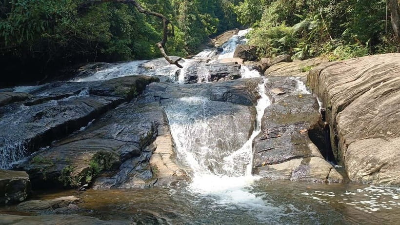 Sinharaja Rainforest: Tour with 5 Waterfalls Trek - Five waterfalls, not just one