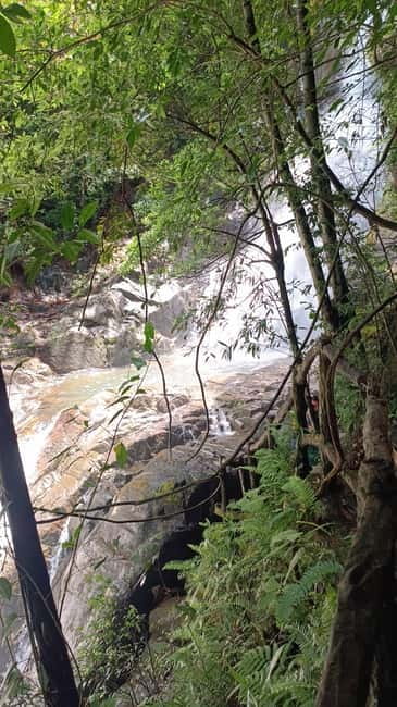Sinharaja Rainforest: Tour with 5 Waterfalls Trek - What to pack for wet forest conditions