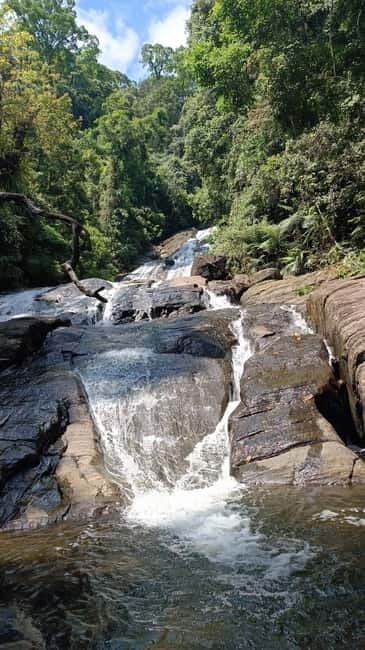 Sinharaja Rainforest: Tour with 5 Waterfalls Trek - Timing, guide support, and the pace of the day