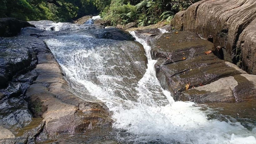 Sinharaja Rainforest: Tour with 5 Waterfalls Trek - Who should book this waterfall trek?