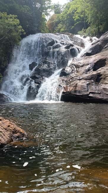 Sinharaja Rainforest: Tour with 5 Waterfalls Trek - A three-hour walk through Sinharaja