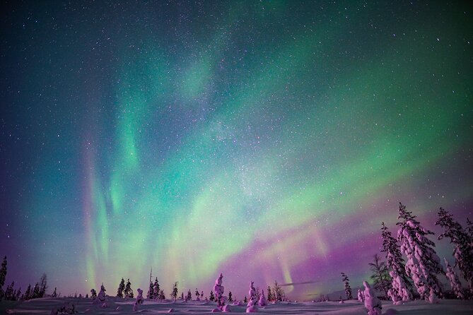 Ski Trekking under the Northern Lights - Small groups make the lesson count