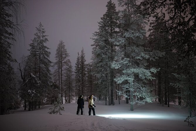 Ski Trekking under the Northern Lights - Value at $140 per person