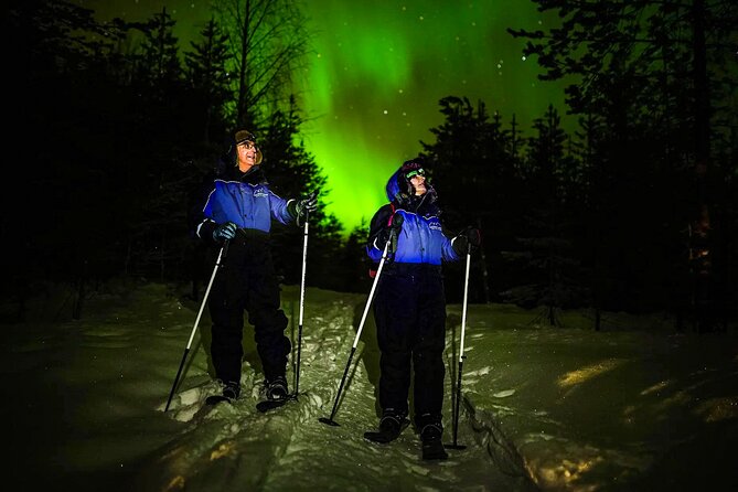 Ski Trekking under the Northern Lights - Why these skis suit beginners