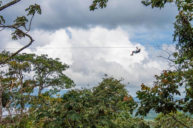 Sky Tram, Sky Trek and Sky Walk From Arenal - Starting beneath the rainforest canopy