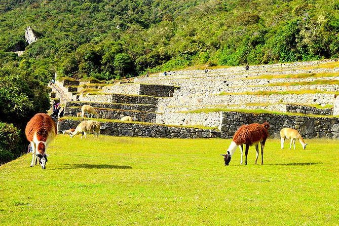 Small Group: 4-Day Inca Trail Trek to Machu Picchu - The human side of the trek