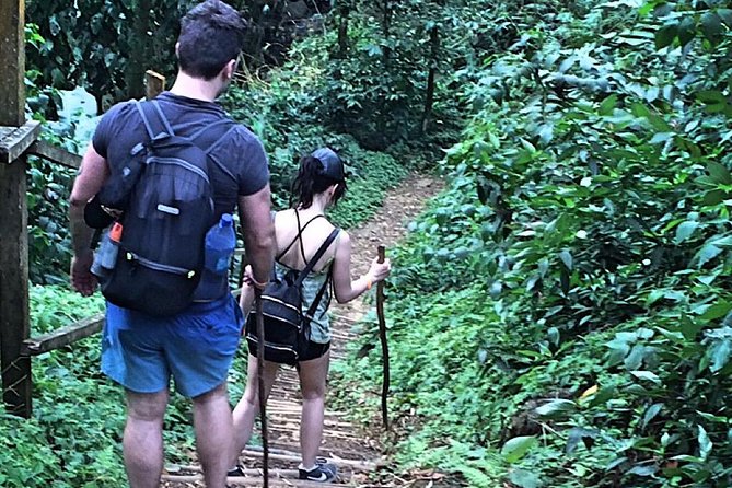 Small-Group Adventure Trek in Grand Etang National Park - Why Grand Etang works so well for a short Grenada hike