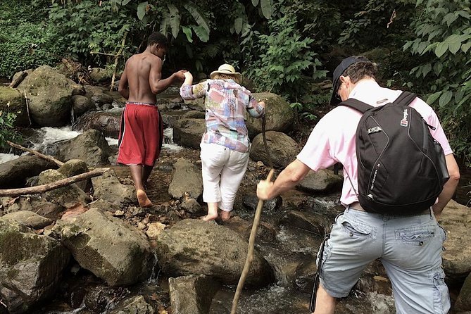 Small-Group Adventure Trek in Grand Etang National Park - Walking through Grenada’s spice-filled rainforest