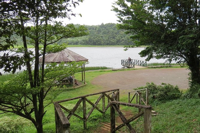 Small-Group Adventure Trek in Grand Etang National Park - Two waterfalls and time for a swim