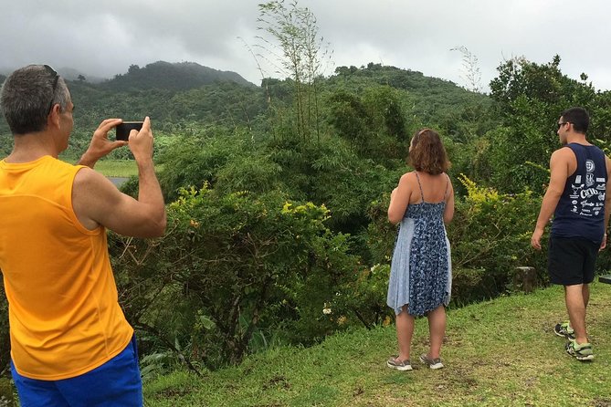 Small-Group Adventure Trek in Grand Etang National Park - Returning to the Grand Etang Nature Center