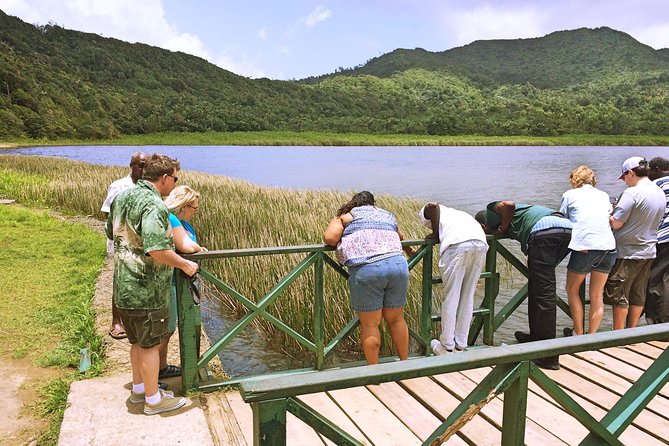 Small-Group Adventure Trek in Grand Etang National Park - Morning pickup and the ride to the trailhead