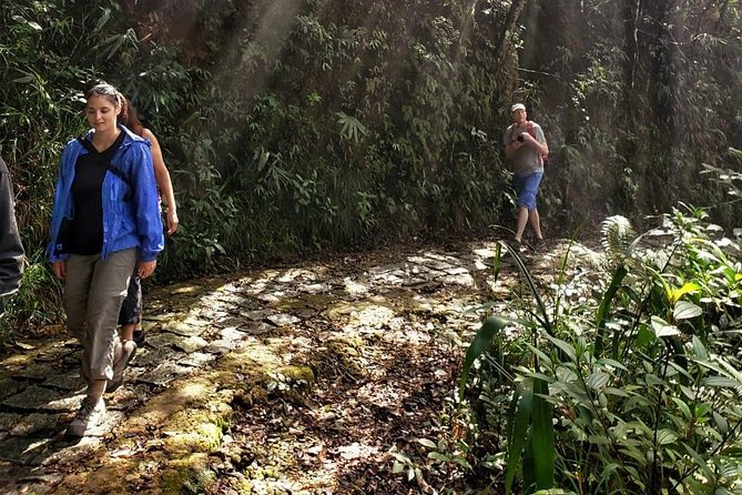 Small Group - Bach Ma National Park Trekking Tour From Hue - Rhododendron Waterfall and the afternoon walk