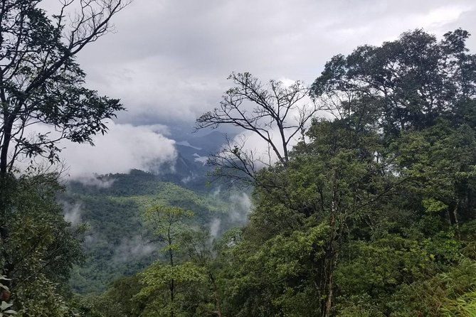 Small Group - Bach Ma National Park Trekking Tour From Hue - What the $41.50 price really covers