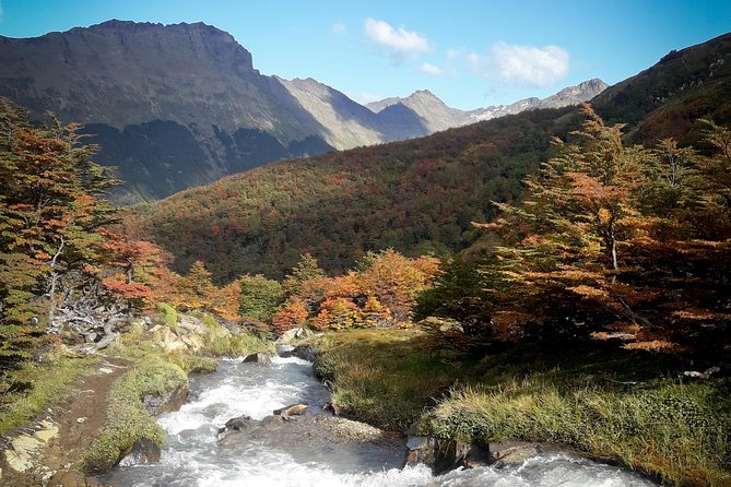 Small group Trekking to Vinciguerra Glacier and Témpanos Lagoon - A short ride from Ushuaia to the trail