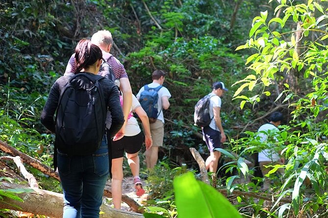 Small Group : Trekking Trip in Chiang Mai (Doi Suthep Area) with Market Tour - From Chiang Mai market to Doi Suthep’s forest