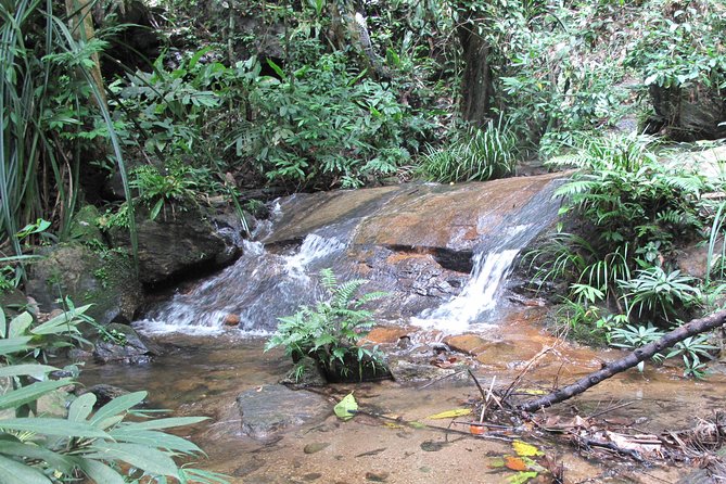 Small Group : Trekking Trip in Chiang Mai (Doi Suthep Area) with Market Tour - The 1.45-hour descent to Monthathan Waterfall