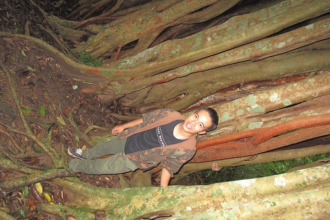 Small Group : Trekking Trip in Chiang Mai (Doi Suthep Area) with Market Tour - Timing, transport, and the return to town