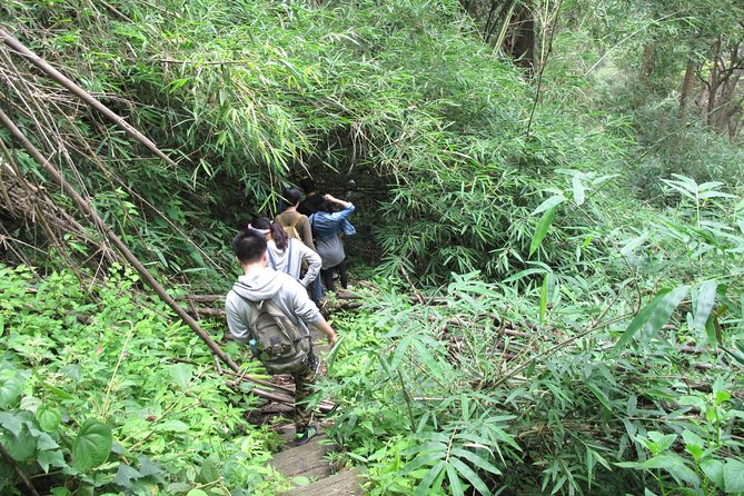 Small Group : Trekking Trip in Chiang Mai (Doi Suthep Area) with Market Tour - What the $62.91 price really covers