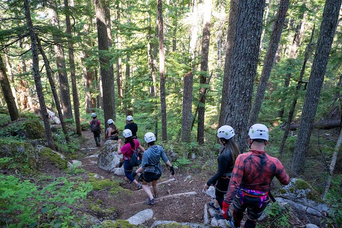 Squamish Via Ferrata Adventure - A short forest walk before the rock begins