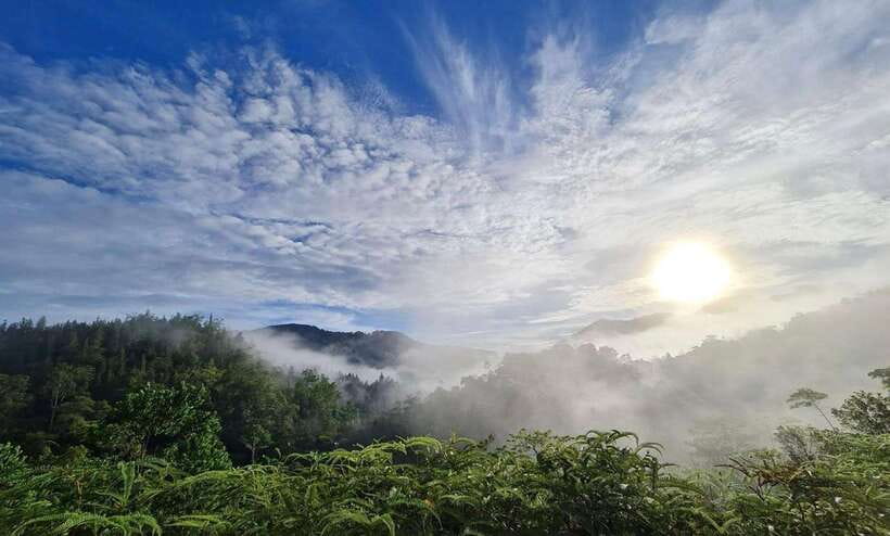 Sri Lanka : Sinharaja Rainforest Guided Trek with Pickup - Key points before you book