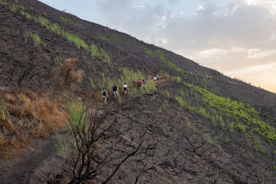 Stromboli: Sunset Trekking at Sciara del Fuoco - The cemetery, shrubs, and Strombolicchio views