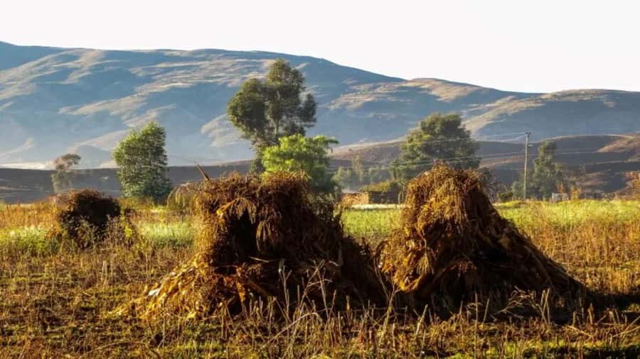 Sucre: 1-Day Trek in the Crater of Maragua and Inca Trails - Key points to know before booking
