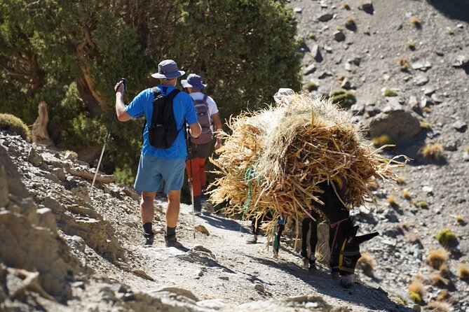 Summiting and Hiking the Atlas Mountains Day Trek from Marrakech - Leaving Marrakech for Imlil at 9:00 AM