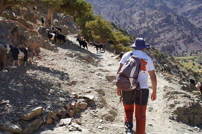 Summiting and Hiking the Atlas Mountains Day Trek from Marrakech - Who should book this mountain day