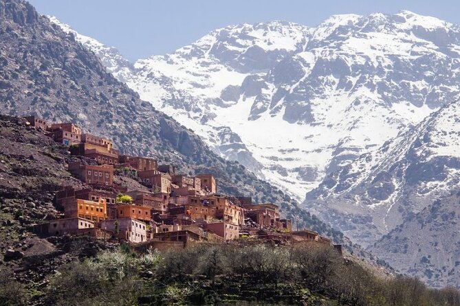Summiting and Hiking the Atlas Mountains Day Trek from Marrakech - The climb through pine and juniper woodland