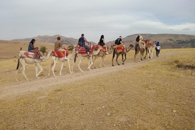 Summiting The Atlas Mountains, Day Hike & Trek From Marrakech - The camel ride: a lighthearted extra