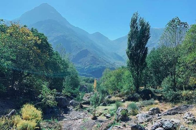 Summiting The Atlas Mountains, Day Hike & Trek From Marrakech - A private day means more room to adapt