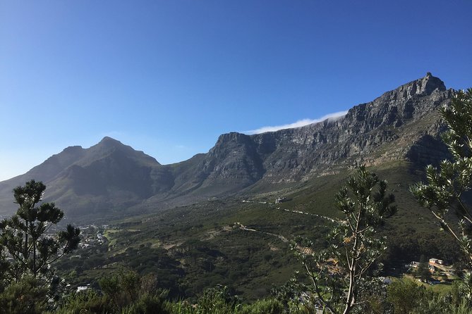 Table Mountain Hike (All routes) - Private Tour - A private way to meet Table Mountain on foot